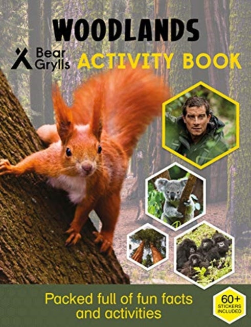 Woodlands Sticker Activity