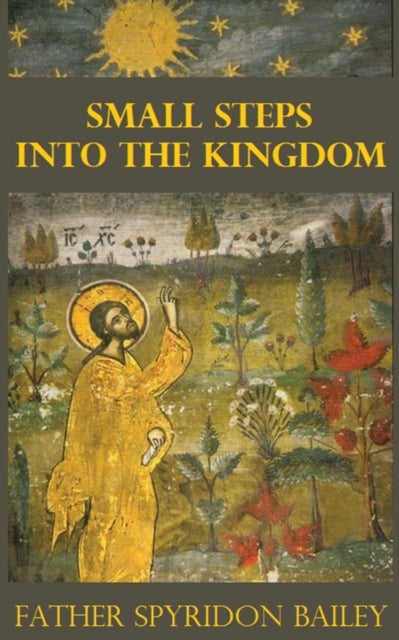 Small Steps Into The Kingdom By Bailey, Father  Spyr