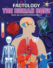 Factology Human Body