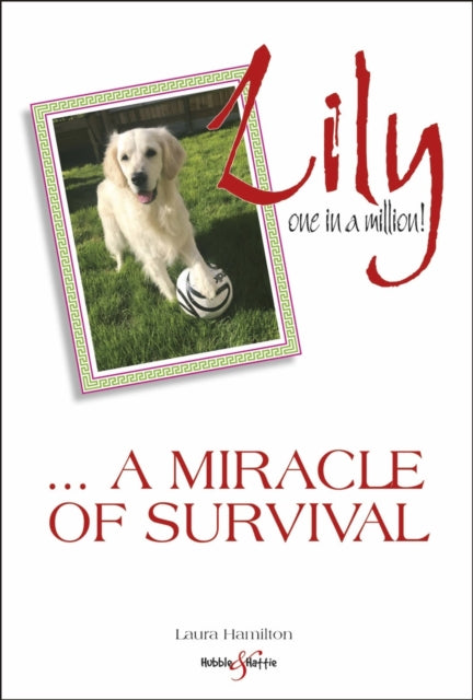 Lily One In A Million