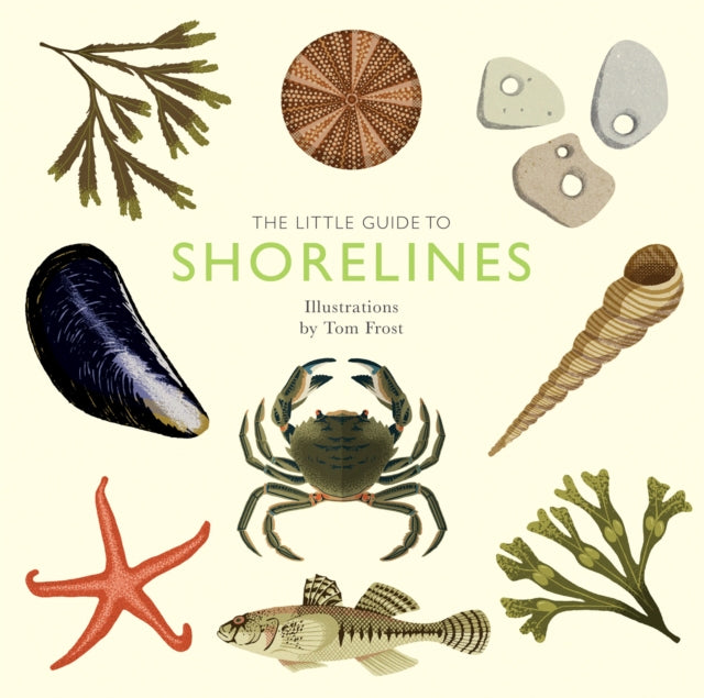 Little Guide To Shorelines