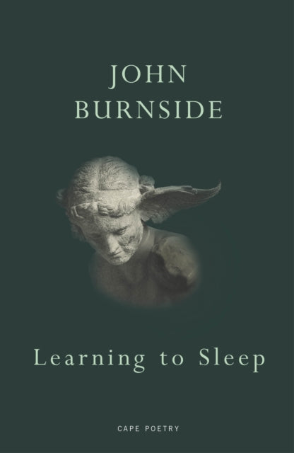 Learning To Sleep