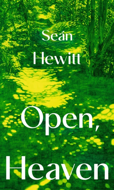 Open Heaven By Hewitt, Sean