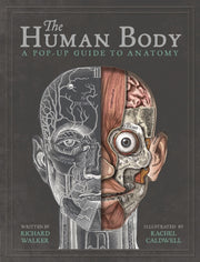 Human Body