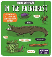 In The Rainforest