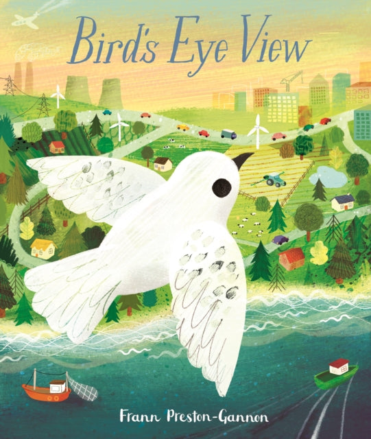 Birds Eye View