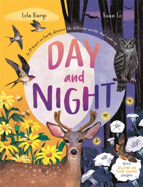 Day & Night