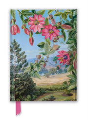 Kew Gardens Marianne North View In The B
