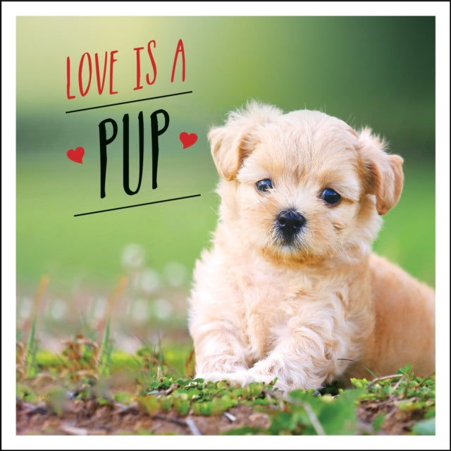 Love Is A Pup