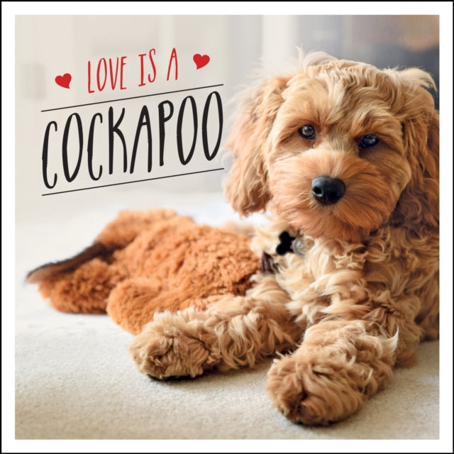 Love Is A Cockapoo