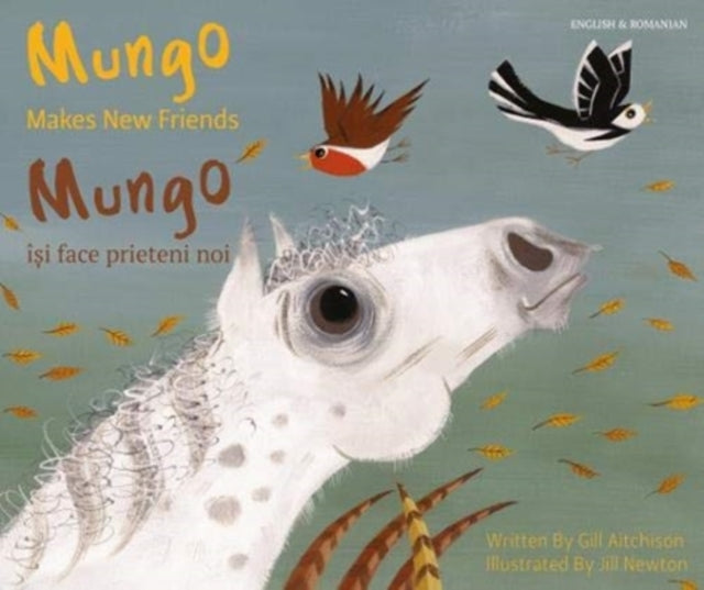 Mungo Makes New Friends Romanian English