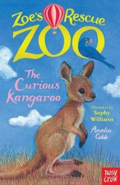 Curious Kangaroo