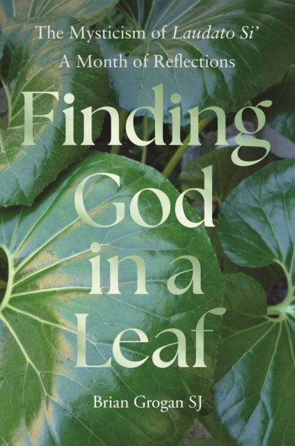 Finding God In A Leaf