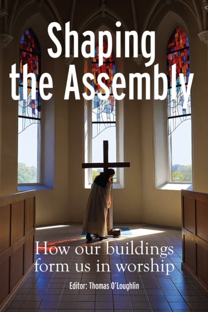 Shaping The Assembly By O'loughlin, Thomas (