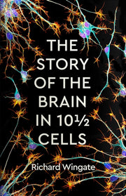 Story Of The Brain In 10 1/2 Cells By Wingate, Richard