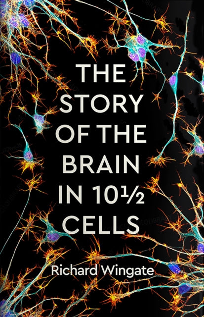 Story Of The Brain In 10 1/2 Cells By Wingate, Richard