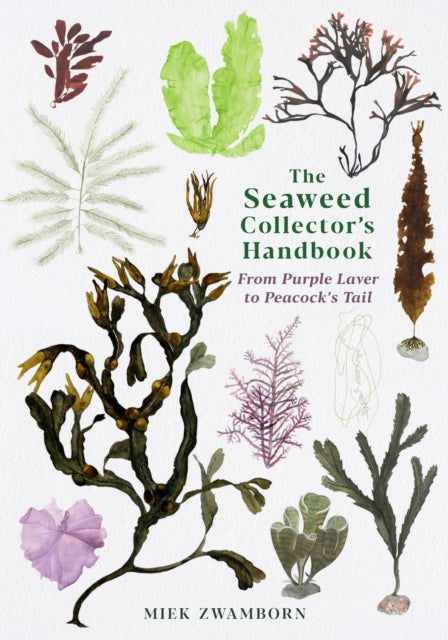 Seaweed Collectors Handbook