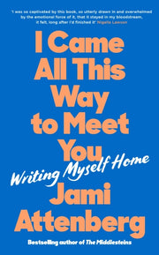 I Came All This Way To Meet You