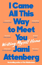 I Came All This Way To Meet You