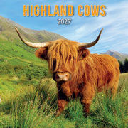 2027 Highland Cows By Unknown