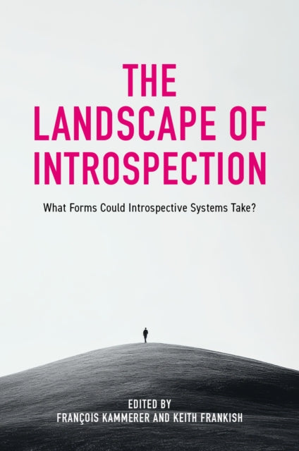 Landscape Of Introspection