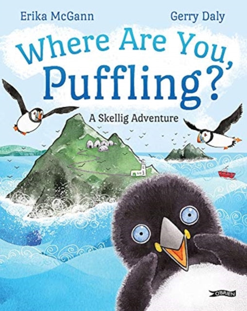 Where Are You Puffling A Skellig Adventu By Gerry, Daly