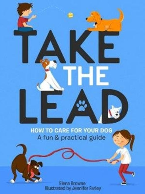 Take The Lead How To Look After Your Dog