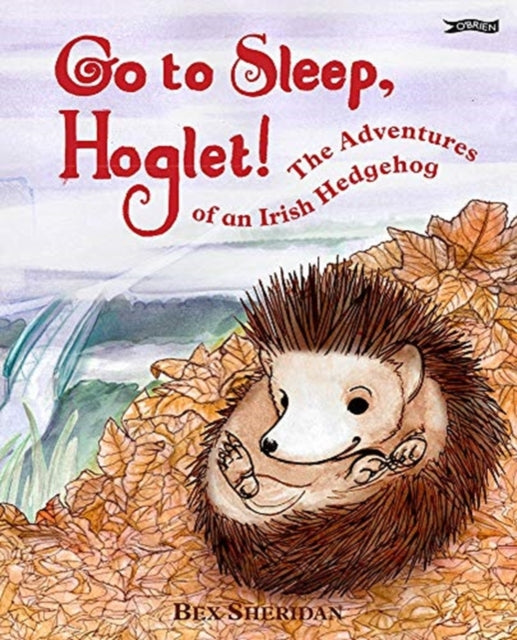 Go To Sleep Hoglet