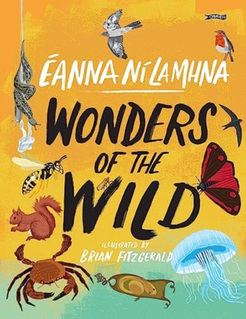 Wonders Of The Wild