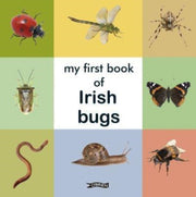 My First Book Of Irish Bugs By O'brien Press