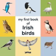 My First Book Of Irish Birds By O'brien Press