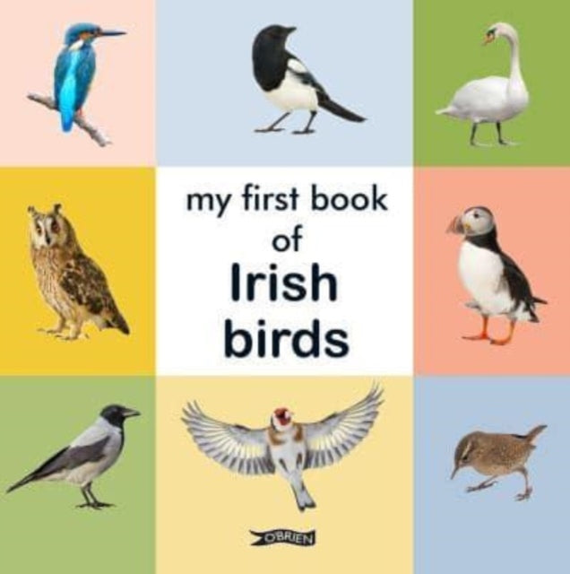 My First Book Of Irish Birds