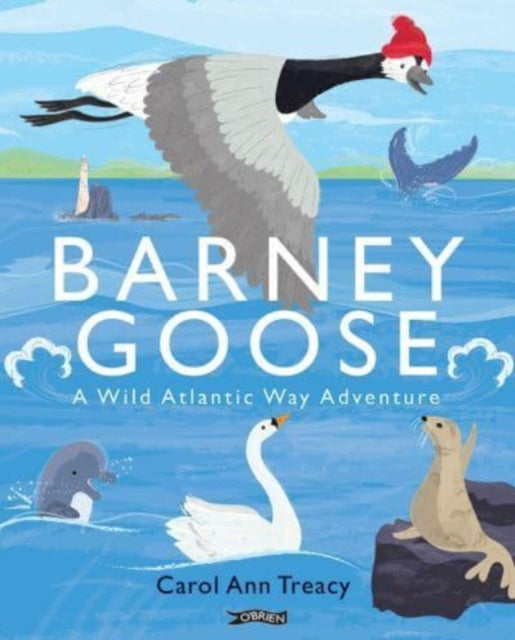 Barney Goose/wild Atlantic Way Adventure