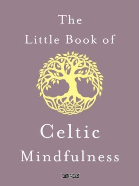 Little Book Of Celtic Mindfulness