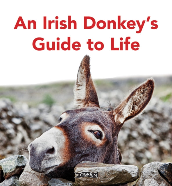 Irish Donkeys Guide To Life