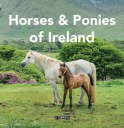 Horses & Ponies Of Ireland