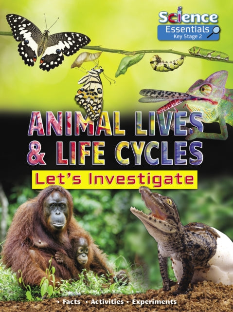 Animal Lives And Life Cycles