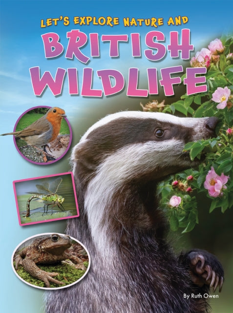 Lets Explore Nature & British Wildlife