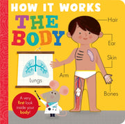 Body