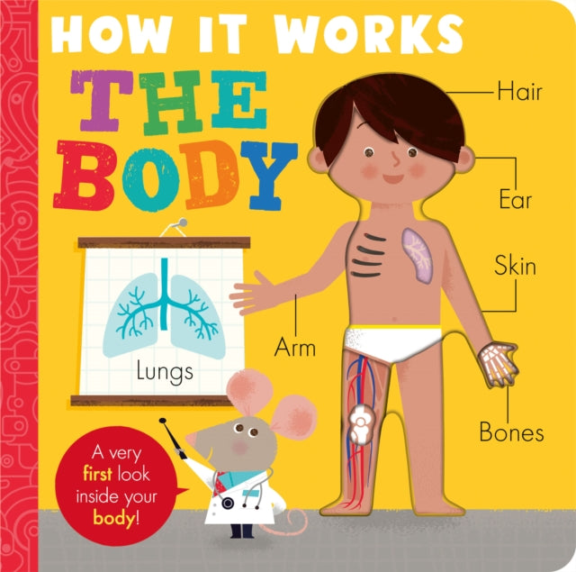 Body