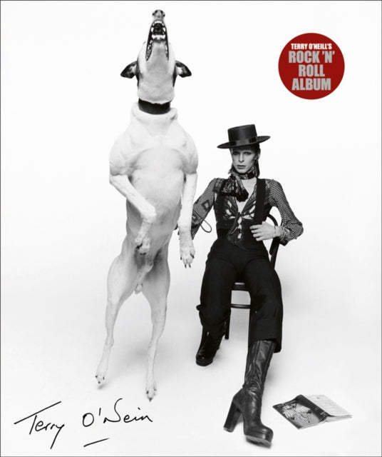 Terry O Neills Rock N Roll Album