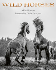 Wild Horses By Bowen, Alfie