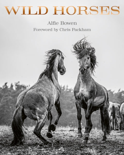 Wild Horses By Bowen, Alfie