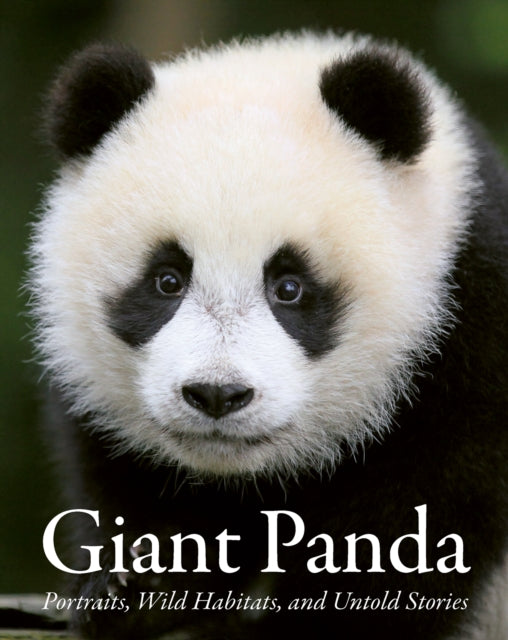 Giant Panda By China The National