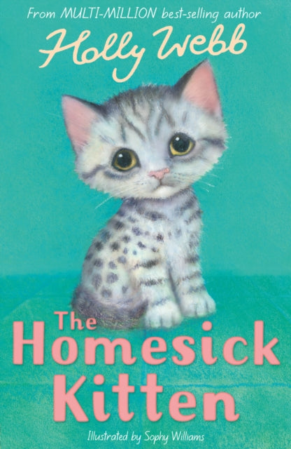 Homesick Kitten
