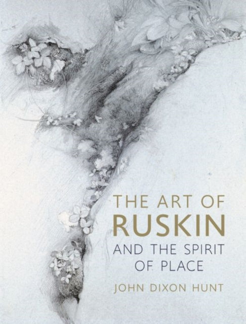 Art Of Ruskin And The Spirit Of P By Hunt John Dixon
