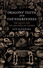 Dragons Teeth & Thunderstones