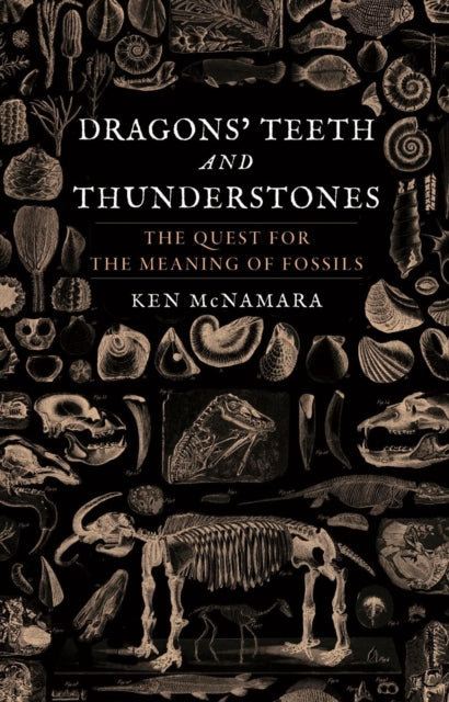 Dragons Teeth & Thunderstones