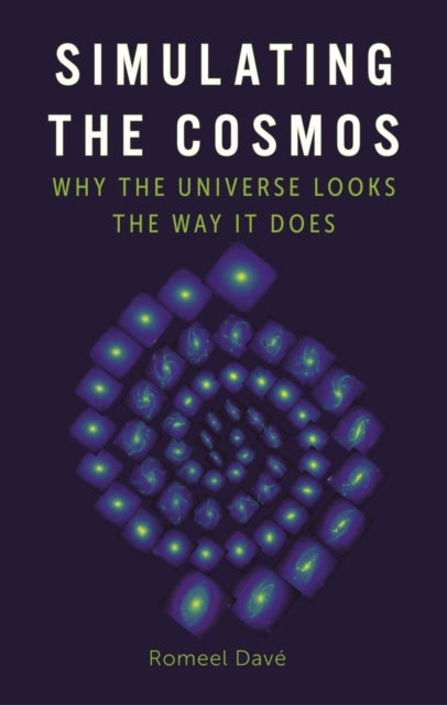 Simulating The Cosmos