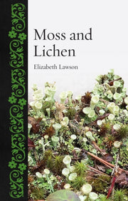 Moss & Lichen